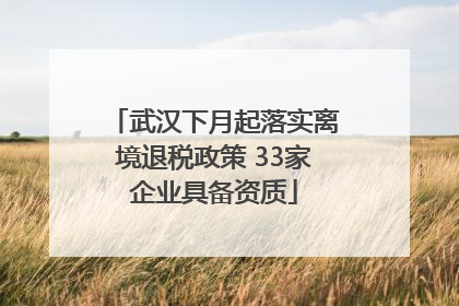 武汉下月起落实离境退税政策 33家企业具备资质