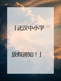 武汉中小学放假通知！