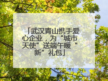 武汉青山携手爱心企业，为“城市天使”送端午暖“新”礼包