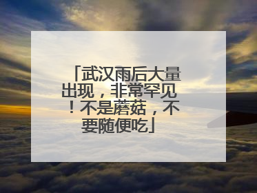 武汉雨后大量出现，非常罕见！不是蘑菇，不要随便吃