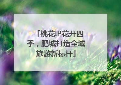 桃花IP花开四季，肥城打造全域旅游新标杆