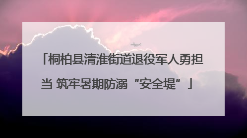 桐柏县清淮街道退役军人勇担当 筑牢暑期防溺“安全堤”