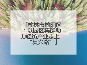 榆林市榆阳区：以园区集群助力轻纺产业走上“复兴路”