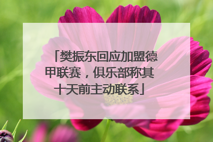 樊振东回应加盟德甲联赛，俱乐部称其十天前主动联系