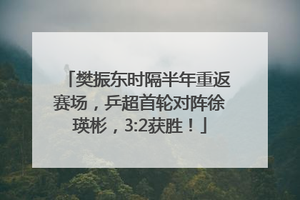 樊振东时隔半年重返赛场，乒超首轮对阵徐瑛彬，3:2获胜！