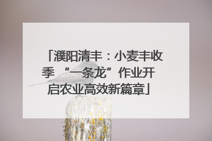 濮阳清丰：小麦丰收季 “一条龙”作业开启农业高效新篇章