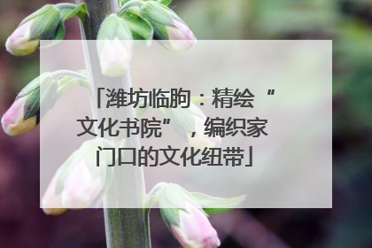 潍坊临朐：精绘“文化书院”，编织家门口的文化纽带