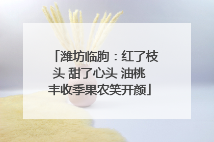 潍坊临朐：红了枝头 甜了心头 油桃丰收季果农笑开颜