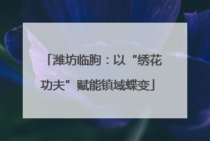 潍坊临朐：以“绣花功夫”赋能镇域蝶变