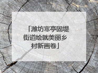 潍坊寒亭固堤街道绘就美丽乡村新画卷
