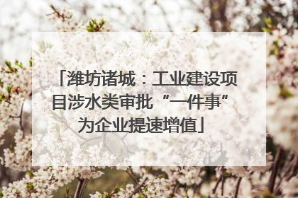 潍坊诸城：工业建设项目涉水类审批“一件事” 为企业提速增值