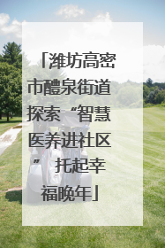 潍坊高密市醴泉街道探索“智慧医养进社区” 托起幸福晚年