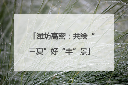 潍坊高密：共绘“三夏”好“丰”景