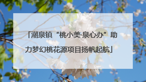 潮泉镇“桃小美·泉心办”助力梦幻桃花源项目扬帆起航
