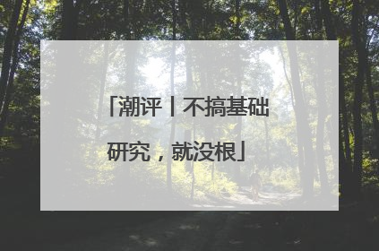 潮评丨不搞基础研究，就没根
