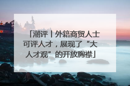 潮评丨外籍商贸人士可评人才，展现了“大人才观”的开放胸襟