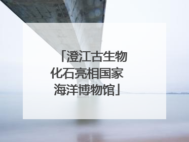 澄江古生物化石亮相国家海洋博物馆