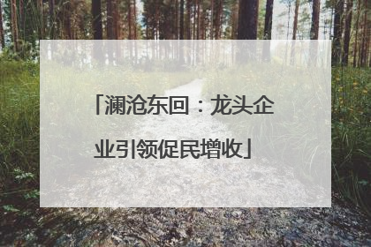 澜沧东回：龙头企业引领促民增收