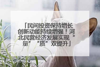 民间投资保持增长 创新动能持续增强！河北民营经济发展实现“量”“质”双提升
