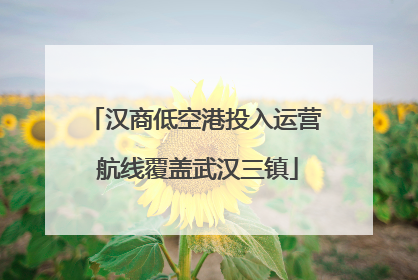 汉商低空港投入运营 航线覆盖武汉三镇