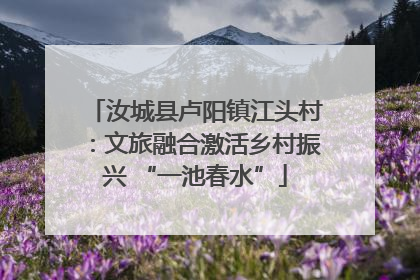 汝城县卢阳镇江头村：文旅融合激活乡村振兴 “一池春水”
