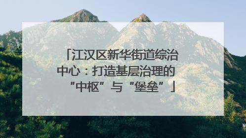 江汉区新华街道综治中心：打造基层治理的“中枢”与“堡垒”