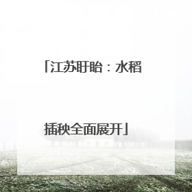 江苏盱眙：水稻插秧全面展开