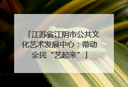 江苏省江阴市公共文化艺术发展中心：带动全民“艺起来”