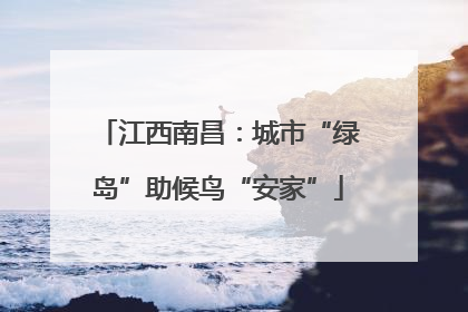 江西南昌：城市“绿岛”助候鸟“安家”