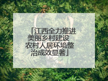江西全力推进美丽乡村建设 农村人居环境整治成效显著