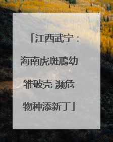 江西武宁：海南虎斑鳽幼雏破壳 濒危物种添新丁