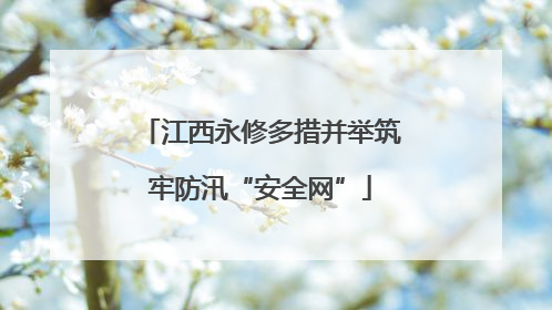 江西永修多措并举筑牢防汛“安全网”