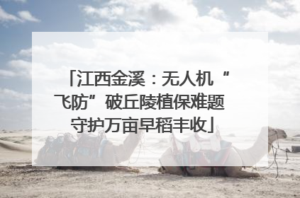江西金溪：无人机“飞防”破丘陵植保难题 守护万亩早稻丰收