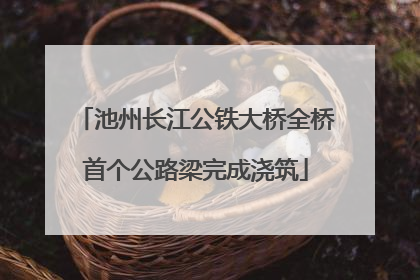 池州长江公铁大桥全桥首个公路梁完成浇筑