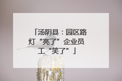 汤阴县：园区路灯“亮了”企业员工“笑了”