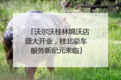 沃尔沃桂林锦沃店盛大开业，桂北豪车服务新纪元来临