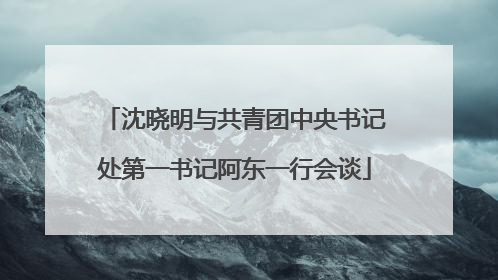 沈晓明与共青团中央书记处第一书记阿东一行会谈