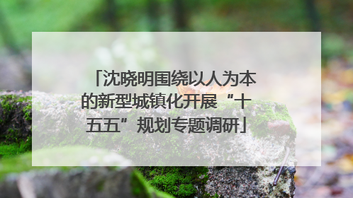 沈晓明围绕以人为本的新型城镇化开展“十五五”规划专题调研