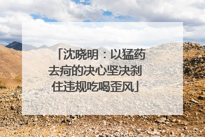 沈晓明：以猛药去疴的决心坚决刹住违规吃喝歪风