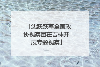 沈跃跃率全国政协视察团在吉林开展专题视察