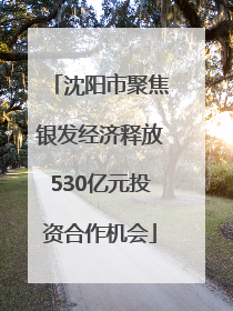 沈阳市聚焦银发经济释放530亿元投资合作机会