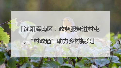 沈阳浑南区：政务服务进村屯，“村政通”助力乡村振兴