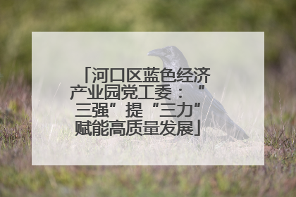 河口区蓝色经济产业园党工委：“三强”提“三力”赋能高质量发展