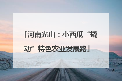 河南光山：小西瓜“撬动”特色农业发展路