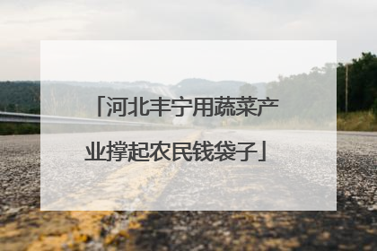 河北丰宁用蔬菜产业撑起农民钱袋子