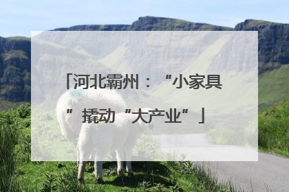 河北霸州：“小家具”撬动“大产业”