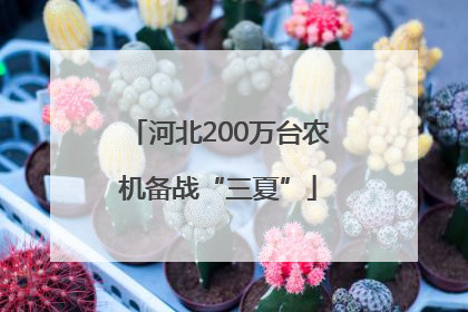 河北200万台农机备战“三夏”