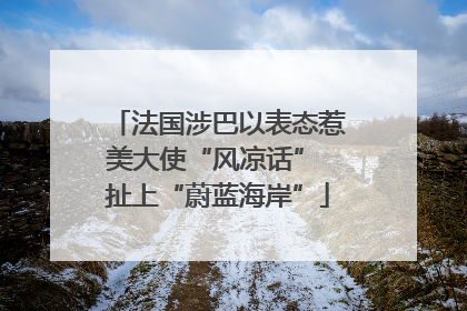 法国涉巴以表态惹美大使“风凉话” 扯上“蔚蓝海岸”