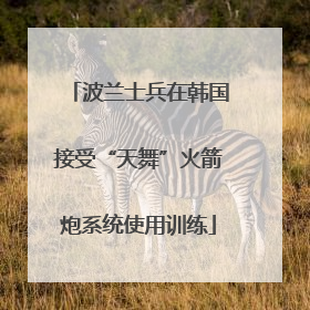 波兰士兵在韩国接受“天舞”火箭炮系统使用训练
