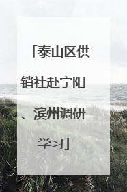 泰山区供销社赴宁阳、滨州调研学习